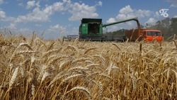 Более 8,2 млн тонн зерна собрали аграрии на Ставрополье