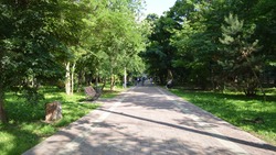 В селе Кочубеевском благоустраивают улицу Гагарина