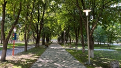 Новый парк в станице Ставрополья обзаведётся 60 кормушками для птиц