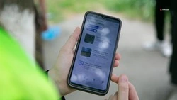 Более 350 тыс. ставропольцев проголосовали за проекты благоустройства