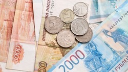 Около 1,5 млн рублей лишилась пенсионерка из Кочубеевского округа из-за телефонного мошенника