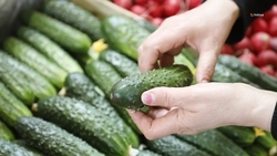 Около 750 компаний производят продукты питания на Ставрополье