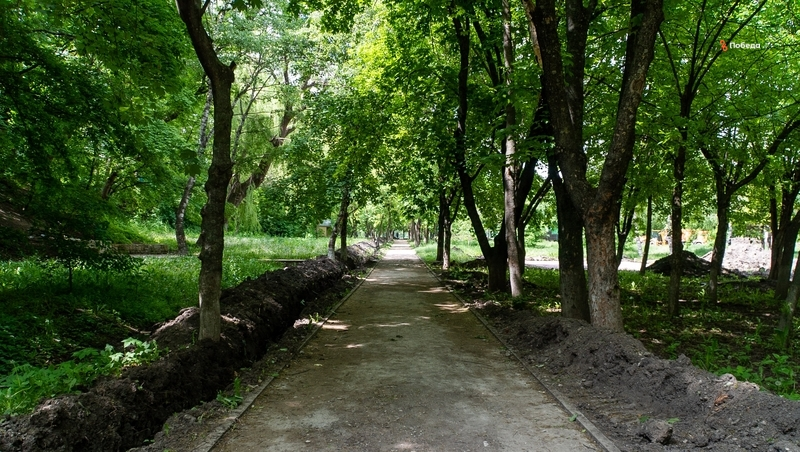 Большинство жителей Кочубеевского округа проголосовали за благоустройство экопарка