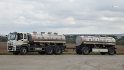 48 тыс. тонн молока произвели в Кочубеевском округе в 2025 году