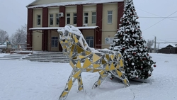 В селе Кочубеевском на Ставрополье появился новый арт-объект в виде лошади