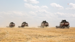 Растениеводам Ставрополья предоставят субсидии на агрострахование