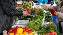 Ярмарку в Кочубеевском округе посетили 5 тыс. покупателей