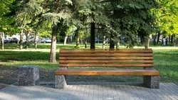 Сельский парк благоустраивают в Кочубеевском округе 