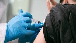 Минздрав Ставрополья: Бороться с аллергией помогает специфическая иммунотерапия
