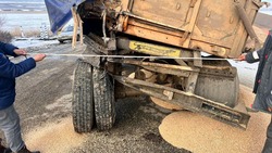 Два грузовика столкнулись на трассе в Кочубеевском округе