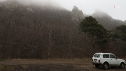 На Ставрополье объявили об окончании сезона охоты на фазанов и вальдшнепов