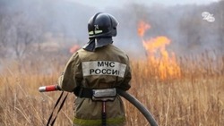 Практически 1,9 тыс. ландшафтных пожаров случилось в Ставропольском крае в пожароопасный период 