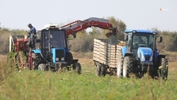 Уборочная кампания завершается на Ставрополье