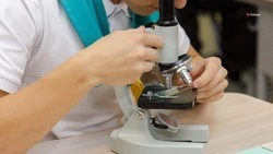 Порядка 500 специализированных классов действует в ставропольских школах