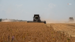 Аграриям Ставрополья с начала 2025 года направили 6,3 млрд рублей господдержки