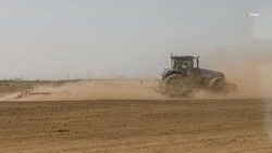 Ранний картофель закладывают на Ставрополье