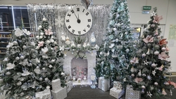 Мечты более 60 детей исполнили благодаря «Ёлке желаний» в Кочубеевском округе