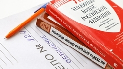 Ставропольчанку обвиняют в применении насилия в отношении сотрудника полиции