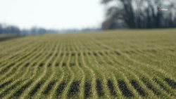 Состояние минерализованных полос проверят на Ставрополье по поручению губернатора