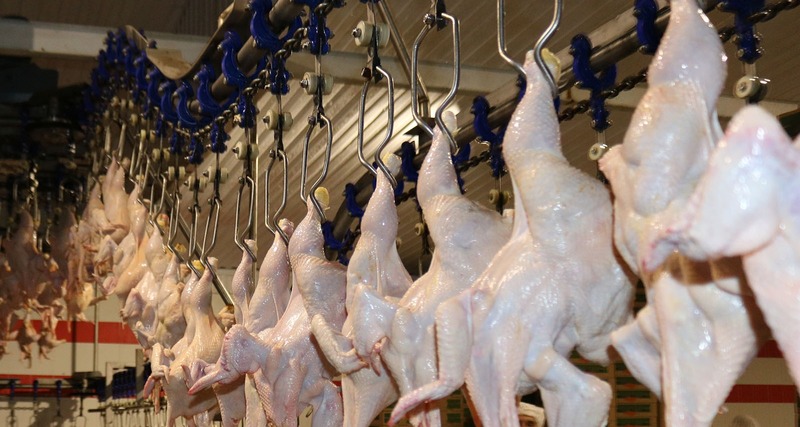 Ставрополье увеличило экспорт мяса птицы на 11%