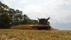 Демонстрационные участки сельхозкультур появятся на Ставрополье