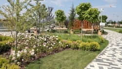 Переходящие с прошлого года народные проекты реализуют на Ставрополье до 1 июня