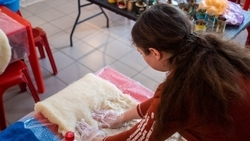 Ставрополью передали 25 кг шерсти из КЧР для изготовления поясов участникам СВО