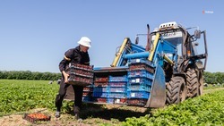Лимит финансирования по господдержке для аграриев Ставрополья увеличен до 47 миллиардов рублей
