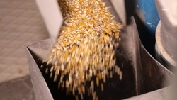 За десять лет на Ставрополье в 2,4 раза нарастили объёмы производства пищевой и перерабатывающей промышленности