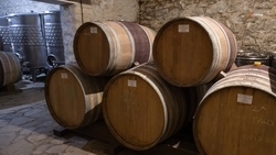 Ставропольские предприятия в 2,3 раза нарастили выпуск вина