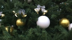 «Ёлка желаний» исполнила мечты более 50 юных жителей Кочубеевского округа