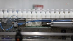 Экспорт молочной продукции вдвое нарастили на Ставрополье