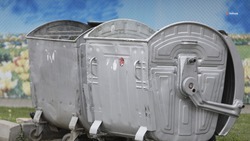 Более 2,5 тысячи контейнеров для раздельного накопления отходов установят на Ставрополье