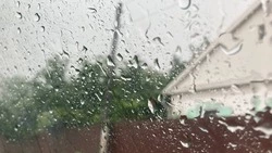 Пасмурно и дождливо будет 2 февраля в Кочубеевском