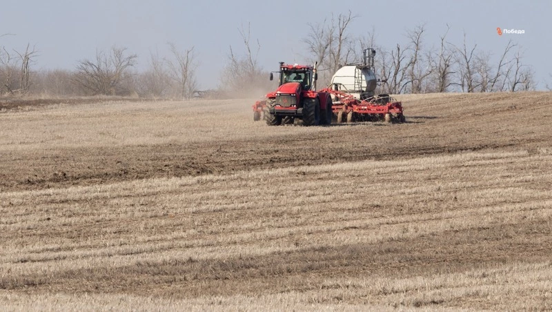 Запас препаратов для защиты полей от саранчи сформировали на Ставрополье