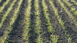 Площади орошаемых земель увеличат на Ставрополье