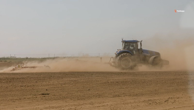 Ранний картофель закладывают на Ставрополье