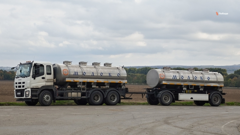 48 тыс. тонн молока произвели в Кочубеевском округе в 2025 году