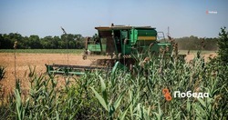 Ставропольские аграрии обработают 1,6 миллиона гектаров почвы