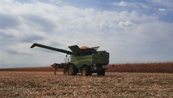 Ранний картофель посадят почти на 6 тыс. га ставропольских полей