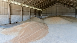 Более 13 млрд рублей направят в качестве льготных кредитов аграриям Ставрополья