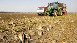 Дополнительные меры по стимулированию производства овощных культур разработают на Ставрополье
