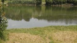 Обводнением реки Невольки в Кочубеевском округе займутся по поручению губернатора