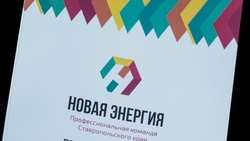 Губернатор Владимиров поздравил лауреатов кадрового проекта «Новая энергия»