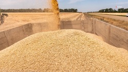 Ставропольские аграрии собрали 5,2 млн тонн зерна
