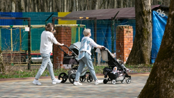 Мальчиков чаще всего называли Михаилом в 2025 году на Ставрополье