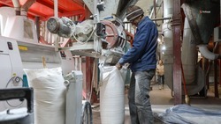 Свыше 200 тыс. тонн муки произвели на Ставрополье