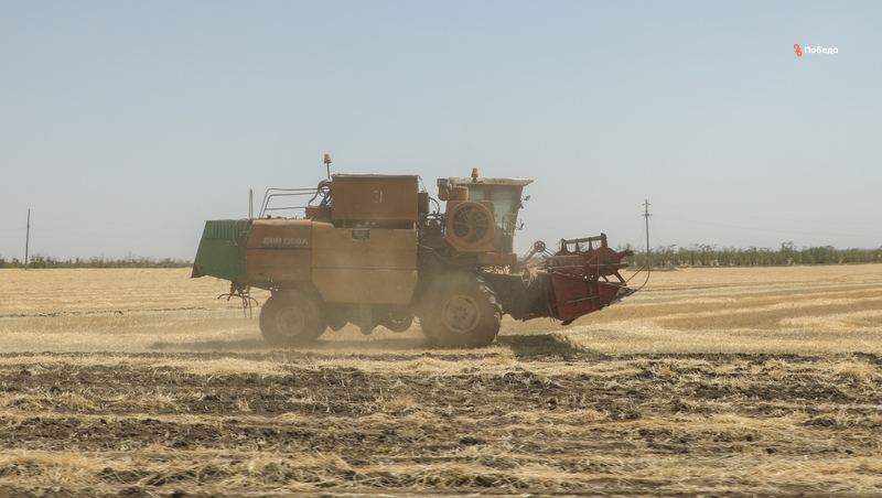 Аграрии Ставрополья получат господдержку на закупку техники и развитие селекции 