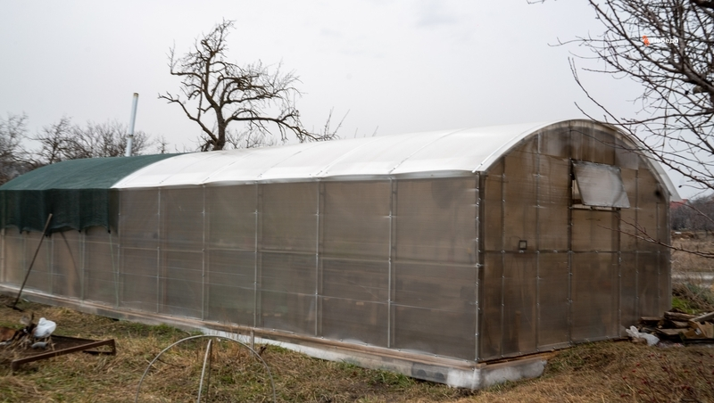 Гранты на строительство теплиц могут получить ставропольские фермеры