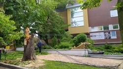 Синоптики прогнозируют продолжение бури на Ставрополье